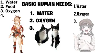 Basic Human Needs: Water, Oxygen, X meme card, common rarity