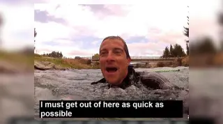 Bear Grylls "I Must Get Out Of Here As Quick As Possible" meme card, common rarity