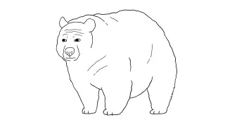 Carte meme Bearjak, rareté commune
