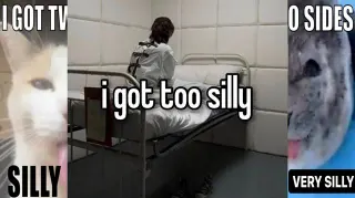 Being Silly / Too Silly meme card, common rarity