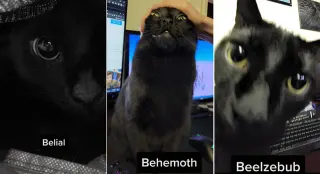 Belial Behemoth Beelzebub / "Year Zero" Ghost Trend meme card, common rarity