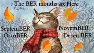 Carte meme Ber Months, rareté commune