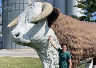 Carte meme Big beef cow, rareté commune
