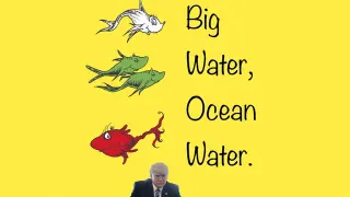 Big Water meme card, common rarity