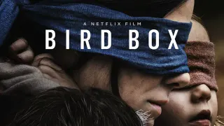 Bird Box meme card, common rarity