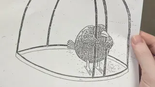 Carte meme Bird in Cage / My Therapist Gave Me This and Said, "That’s You", rareté commune