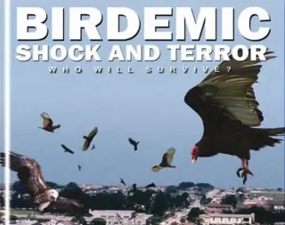 Birdemic meme card, common rarity