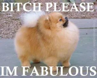 Bitch I'm Fabulous meme card, epic rarity