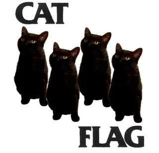 Carte meme Black Flag Logo Parodies, rareté commune
