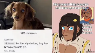 Blue Eyes Slander meme card, common rarity
