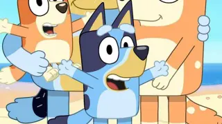 Carte meme Bluey (TV Series), rareté commune