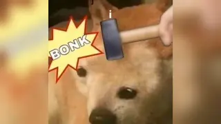 Bonk (Cheems) meme card, rare rarity