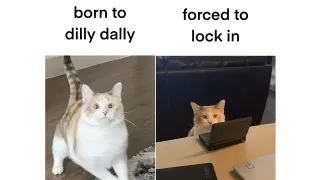 Born to Dilly Dally, Forced to Lock In meme card, common rarity