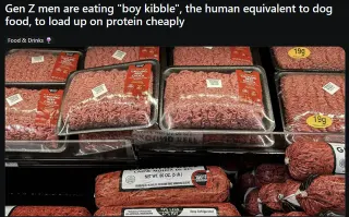 Carte meme Boy Kibble, rareté commune