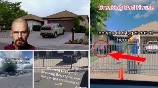 Breaking Bad House Owner meme card, common rarity