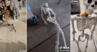 Carte meme Bro I’m Dead *Turns Into Skeleton*, rareté commune