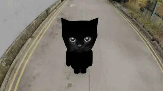 Bro the Cat meme card, common rarity