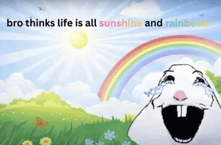 Bro Thinks Life Is All Sunshine And Rainbows Meme meme card, common rarity