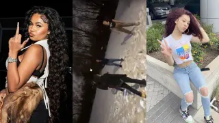 Brooklyn and Misty Fight meme card, common rarity