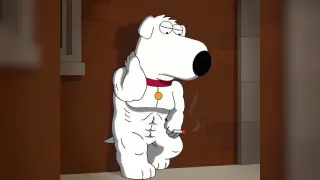 Buff Brian Griffin meme card, common rarity