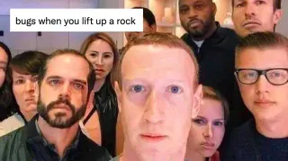 Bugs When You Lift Up A Rock meme card, common rarity