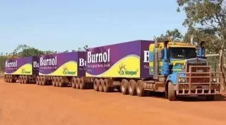Burnol / Burnol Moment meme card, common rarity