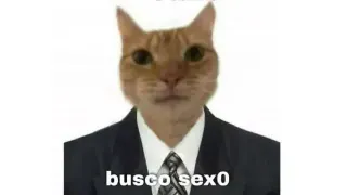 Busco Sexo meme card, common rarity