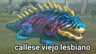 Carte meme Callese Viejo Lesbiano, rareté rare