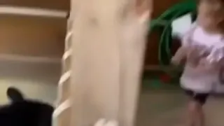 Carte meme CAN I PET THAT DAWG ?!, rareté épique