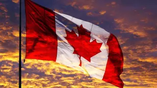 Canada meme card, rare rarity