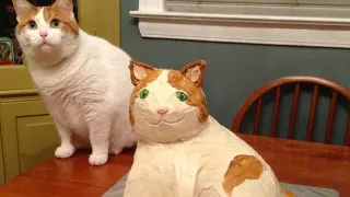 Cat and Cat Cake meme card, common rarity