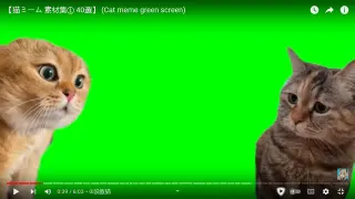 Carte meme Cat Green Screen Edits, rareté commune