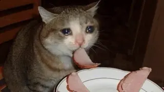 Cats Can Have Little a Salami meme card, epic rarity
