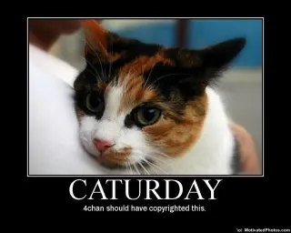 Caturday meme card, epic rarity