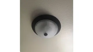 Ceiling Titty meme card, common rarity
