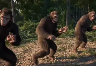 CGI Monkeys Dancing meme card, common rarity