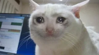 Crying Cat meme card, epic rarity
