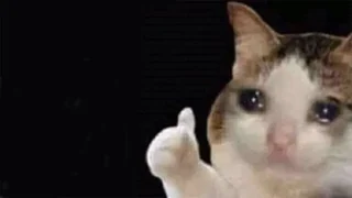 Thumbs Up Crying Cat meme card, epic rarity
