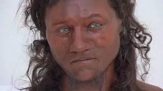 Cheddar Man meme card, common rarity
