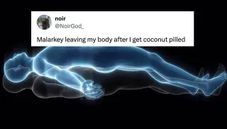 Carte meme Coconut-Pilled, rareté commune