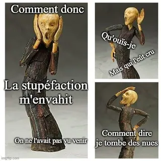Carte meme La stupéfaction m'envahit, rareté rare