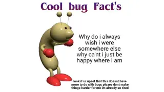 Carte meme Cool Bug Fact’s, rareté rare