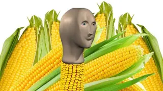 Corn Day meme card, common rarity