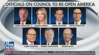 Council to Re-open America meme card, common rarity