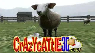 Crazy Cattle 3D meme card, common rarity