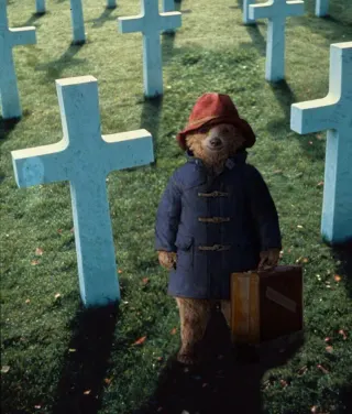Creepy Paddington meme card, common rarity