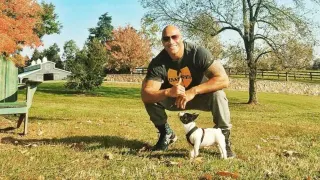 Dad and the Dog meme card, common rarity