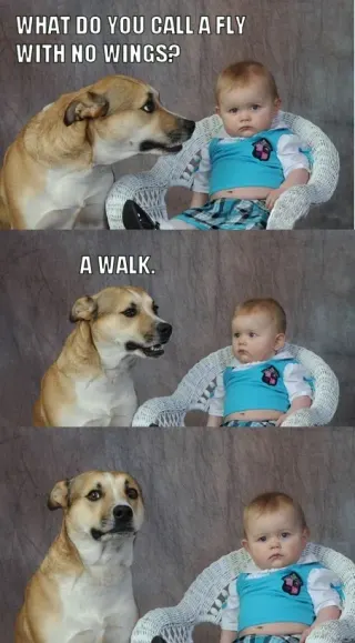 Dad Joke Dog meme card, rare rarity