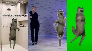Dancing Wolf meme card, common rarity