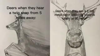 Deer When Two Tons of Steel Are Coming at Them meme card, common rarity